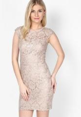 Dorothy Perkins Champagne Lace Pencil Dress women