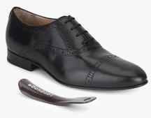 Language Black Brogue Formal Shoes for 