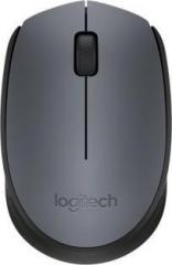 Logitech M 171 Wireless Optical Mouse (USB)