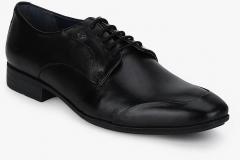 harvard formal shoes