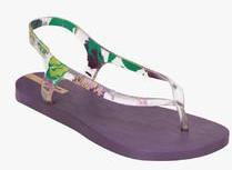 Ipanema Purple Flip Flops women