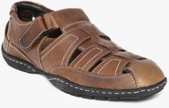 lee cooper leather sandals