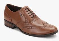 lee cooper brogue shoes Shop Clothing 