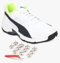 cricket spike shoes lowest price
