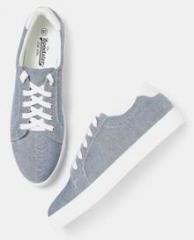 roadster canvas shoes