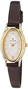 Titan Raga Analog Silver Dial Women's Watch ND2214YL01